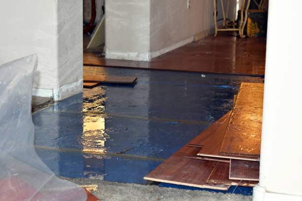 Professional Sewage Cleanup technician working in Waldron, MI